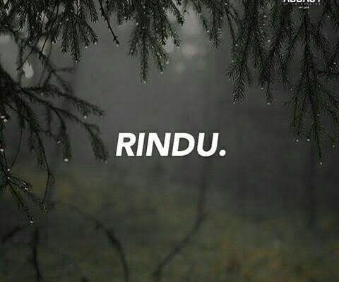 Secawan Rindu Randu