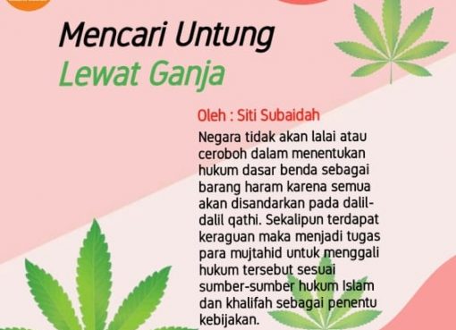 Mencari Untung Lewat Ganja