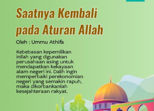 Saatnya Kembali pada Aturan Allah