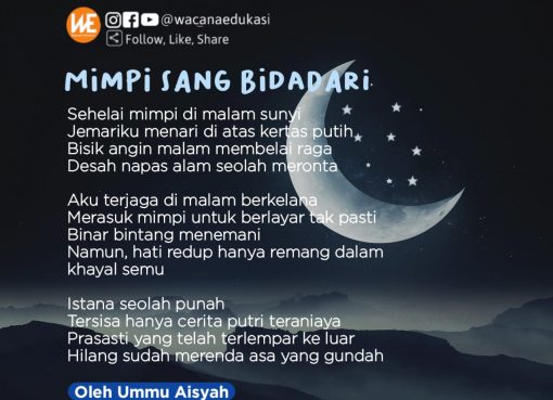 Mimpi Sang Bidadari