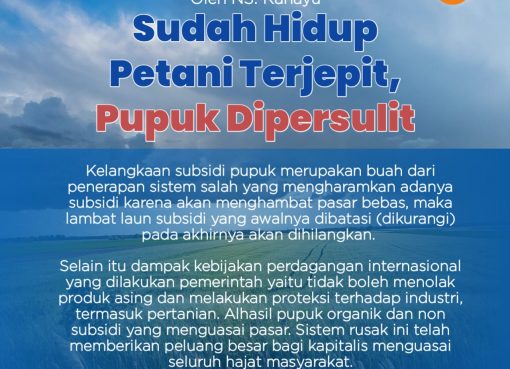 Sudah Hidup Petani Terjepit, Pupuk Dipersulit