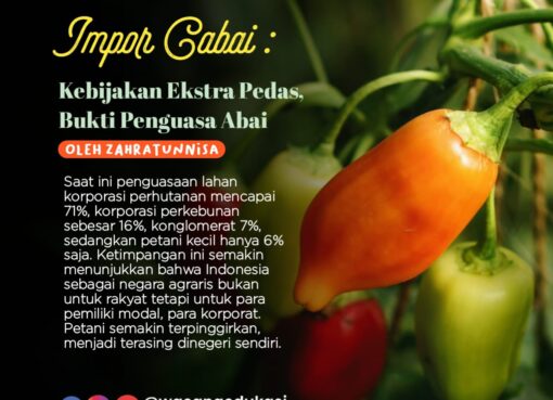 Impor Cabai: Kebijakan Ekstra Pedas, Bukti Penguasa Abai