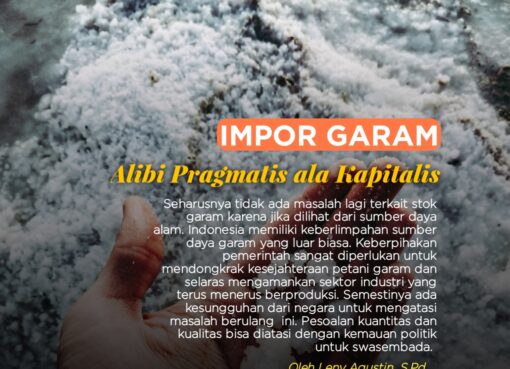 Impor Garam, Alibi Pragmatis ala Kapitalis