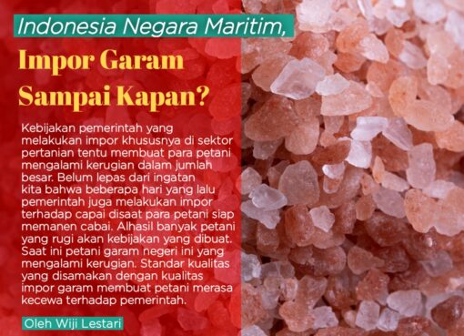 Indonesia Negara Maritim, Impor Garam Sampai Kapan?