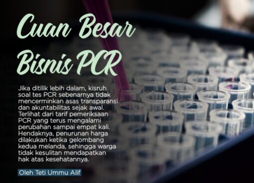Cuan Besar Bisnis PCR