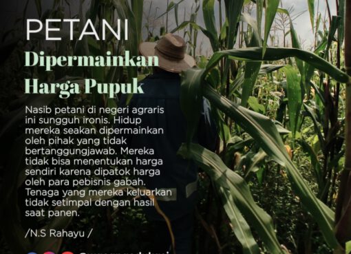 Petani Dipermainkan Harga Pupuk