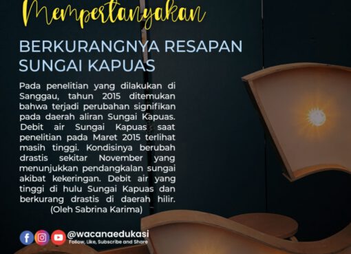 Mempertanyakan Berkurangnya Resapan Sungai Kapuas