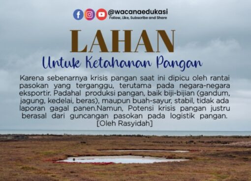 Lahan untuk Ketahanan Pangan