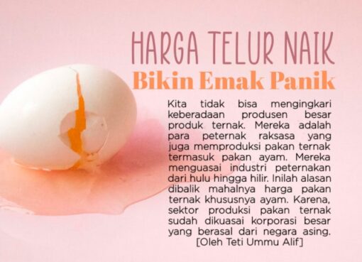 Harga Telur Naik, Bikin Emak Panik