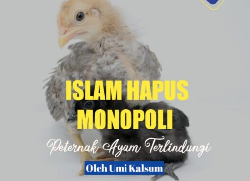 Islam Hapus Monopoli, Peternak Ayam Terlindungi