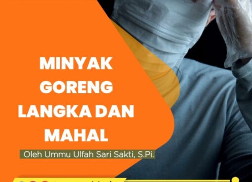 Minyak Goreng Pemerintah Langka dan Mahal