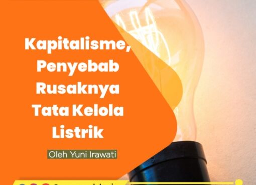 Kapitalisme, Penyebab RusaknyaTata Kelola Listrik
