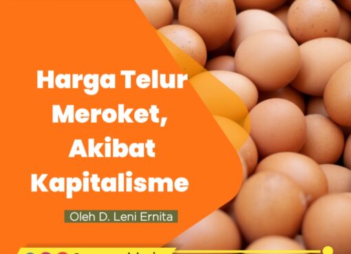 Harga Telur Meroket, Akibat Kapitalisme