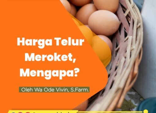 Harga Telur Meroket, Mengapa?
