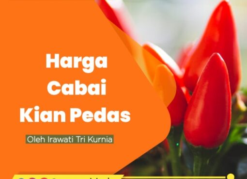 Harga Cabai Kian Pedas