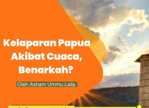 Kelaparan Papua Akibat Cuaca, Benarkah?