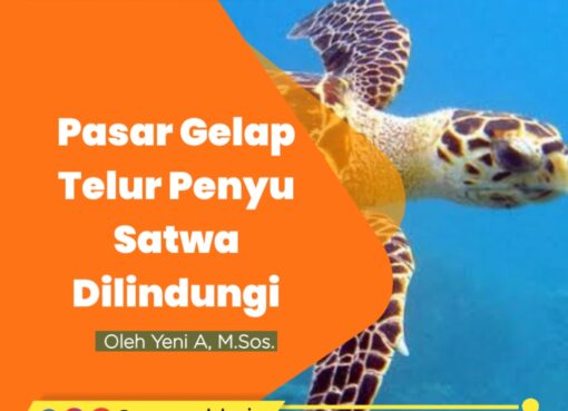 Pasar Gelap Telur Penyu Satwa Terlindungi