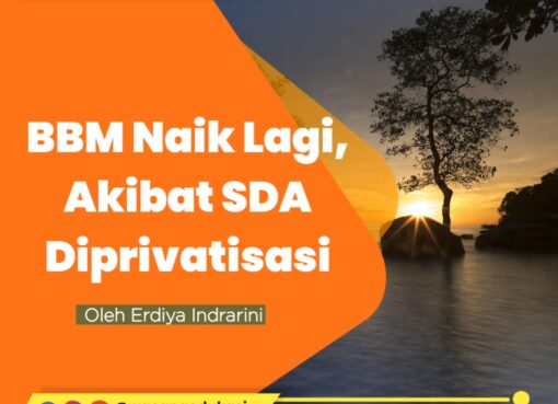 BBM Naik Lagi, Akibat SDA Diprivatisasi