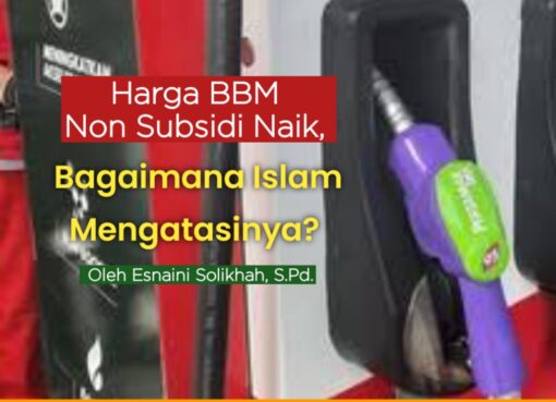 Harga BBM Non Subsidi Naik, Akibat Liberalisasi Migas