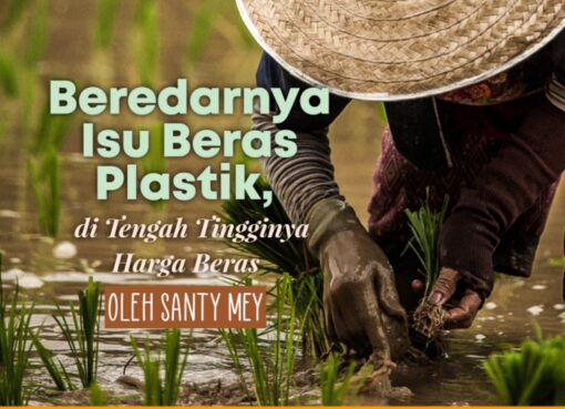 Beredarnya Isu Beras Plastik, di Tengah Tingginya Harga Beras