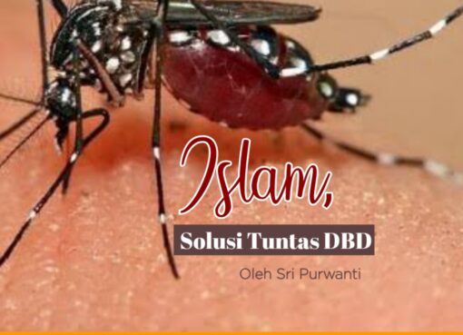 Islam, Solusi Tuntas Berantas DBD