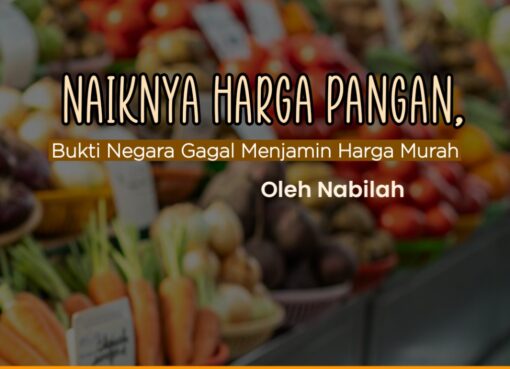 Naiknya Harga Pangan, Bukti Negara Gagal Menjamin Harga Murah