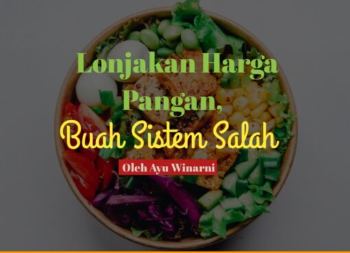 Lonjakan Harga Pangan, Buah Sistem Salah