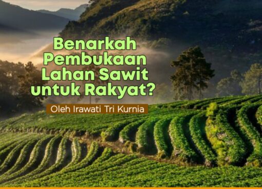Benarkah Pembukaan Lahan Sawit untuk Rakyat?