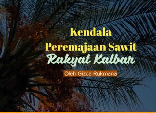 Kendala Peremajaan Sawit Rakyat Kalbar