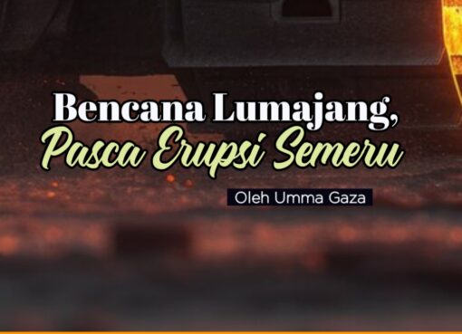 Bencana Lumajang, Pasca Erupsi Semeru