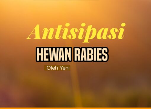 Antisipasi Hewan Rabies