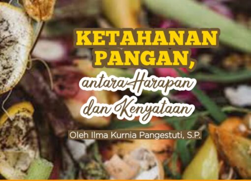 Ketahanan Pangan, antara Harapan dan Kenyataan