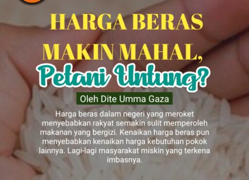 Harga Beras Makin Mahal, Petani Untung?