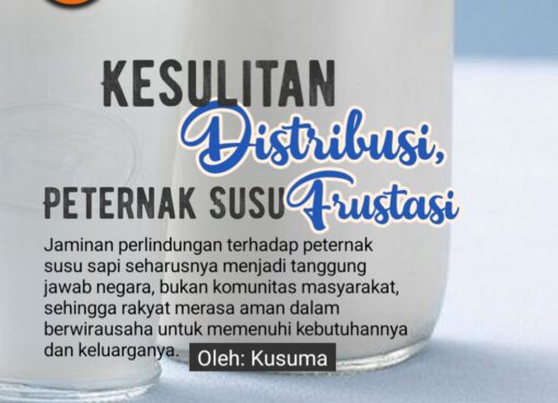Kesulitan Distribusi, Peternak Susu Frustasi