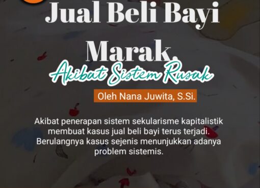 Jual Beli Bayi Marak, Akibat Sistem Rusak