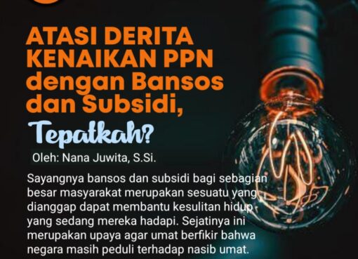 Atasi Derita Kenaikan PPN dengan Bansos dan Subsidi, Tepatkah?